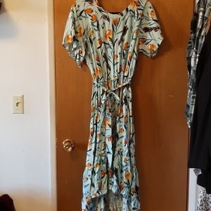 Spring time dress